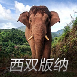 裁判专家：吕迪格踢倒费兰是明显的点球，但拉菲尼亚的确是假摔